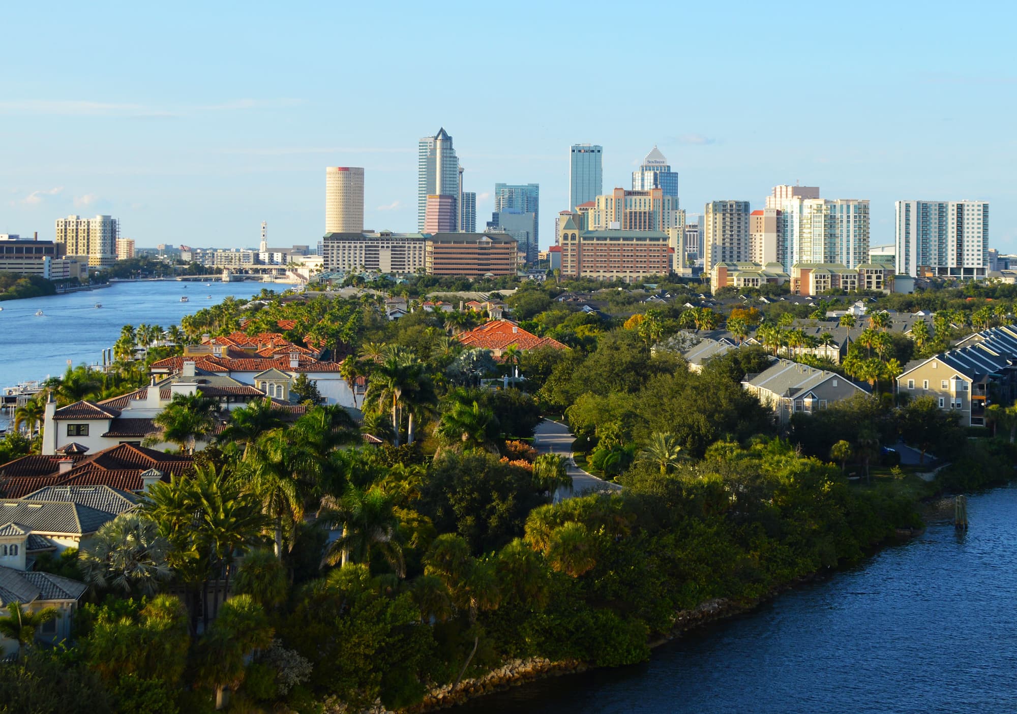 Tampa area