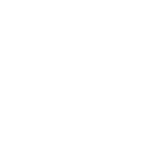 OPUS logo